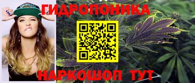гашик Донской
