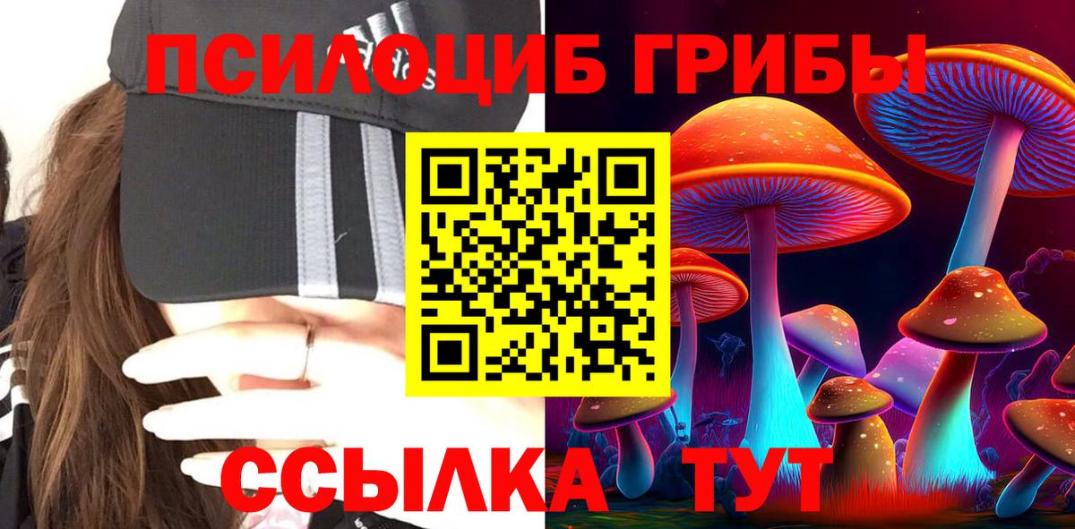 Луга  Галлюциногенные грибы Psilocybe  Вход с VPN 