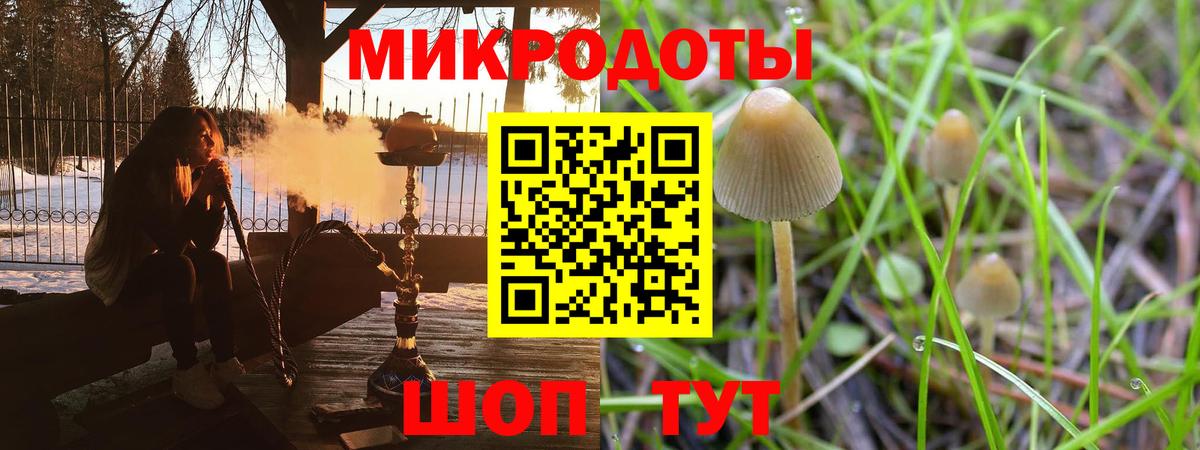 Псилоцибиновые грибы Psilocybe Луга